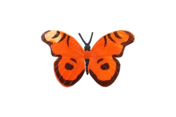 Colorful Butterfly Set for Kids