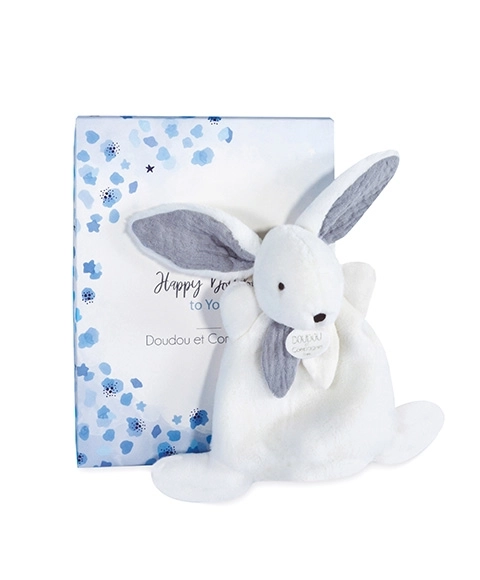 Blue Gift Box Mini Bunny