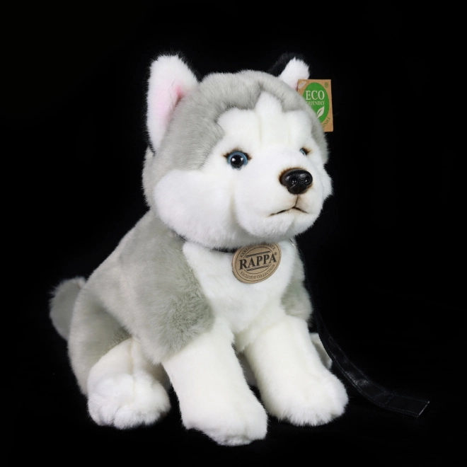 Plush Husky Dog with Leash