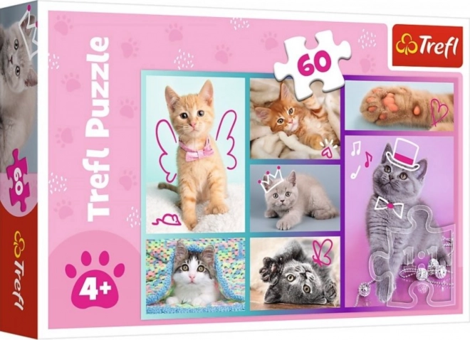 Sweet Kittens Puzzle 60 Pieces