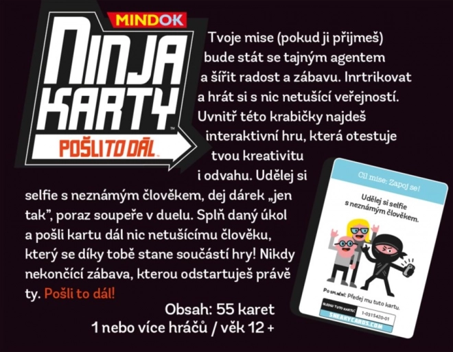 Ninja Secret Agent Game Cards