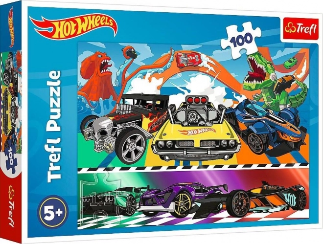 Racing Cars Puzzle - Hot Wheels