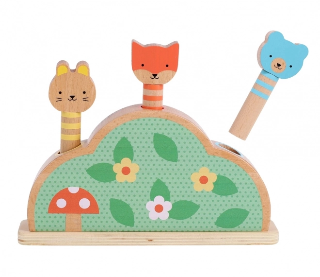 Wooden Pop-Up Toy Petit Friends