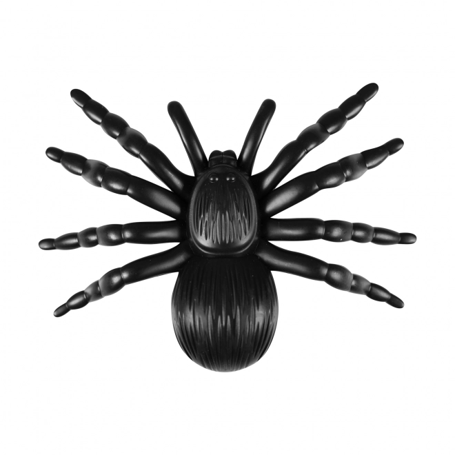 Halloween Black Spider Decorations