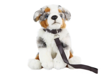 Plush Australian Shepherd with Leash