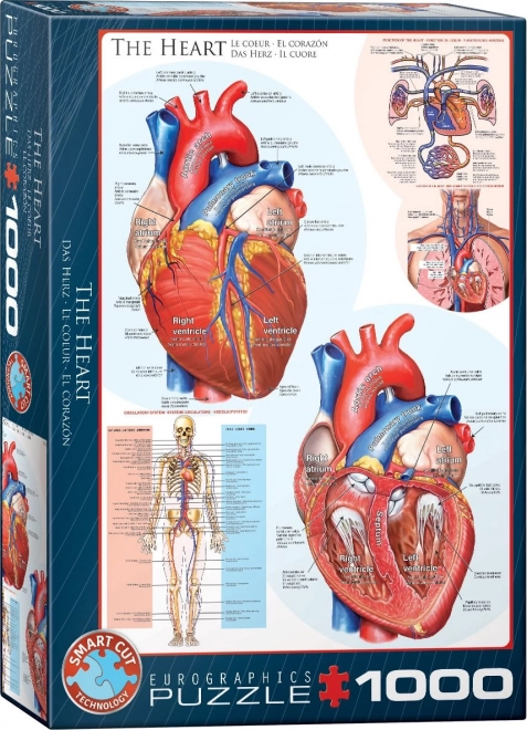 Eurographics Puzzle Human Heart 1000 Pieces