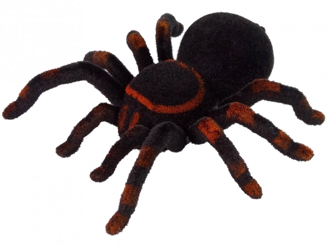 Dálkově ovládaný pavouk Tarantula Black R/C