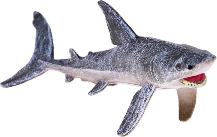 Détails fidèles et texture réaliste