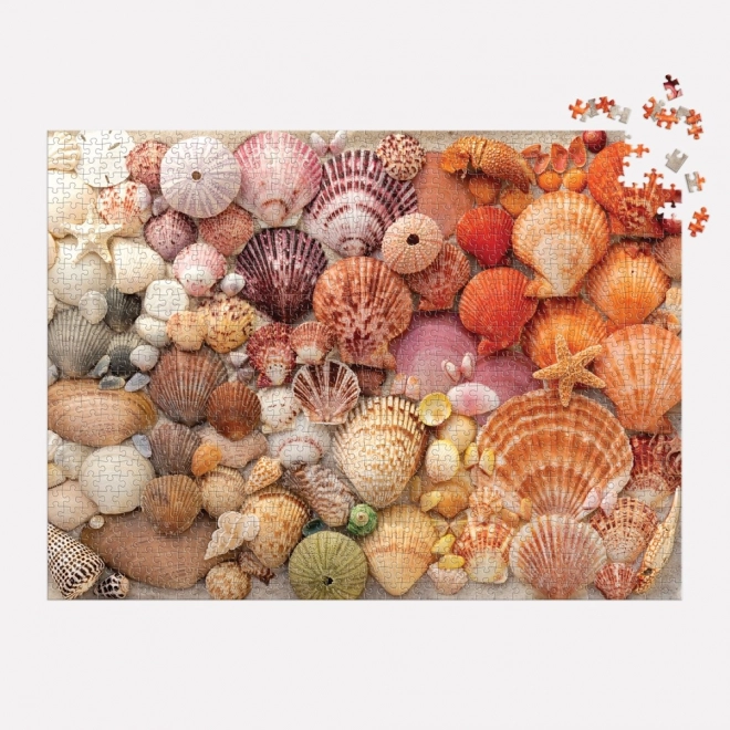 Galison Radiant Seashells Puzzle 1000 Pieces