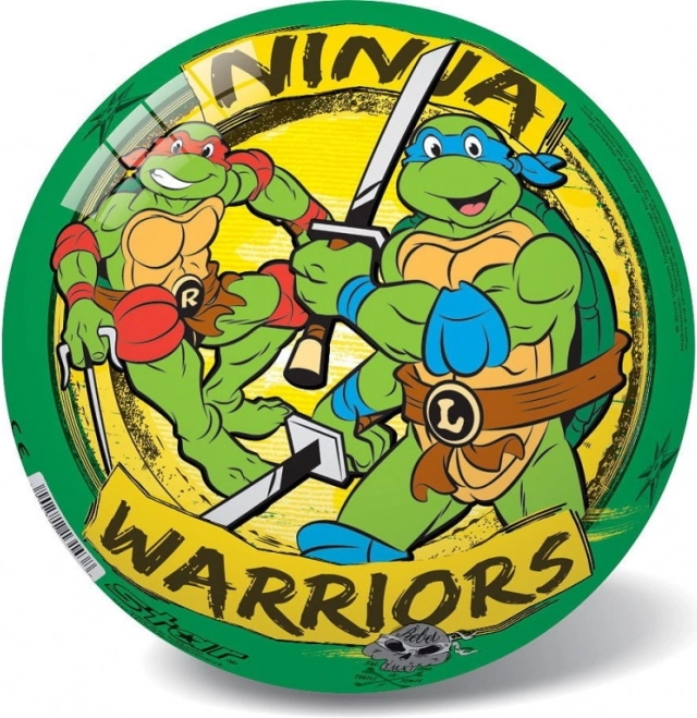 Ninja Turtles Ball Retro 23 cm