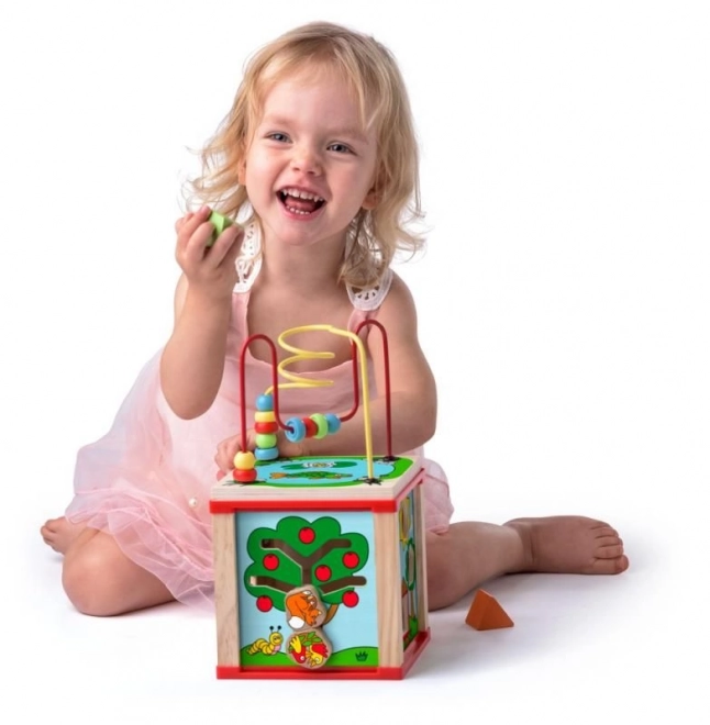 Activity Cube Little House