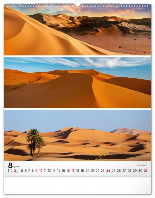 Wall Calendar Palette 2025