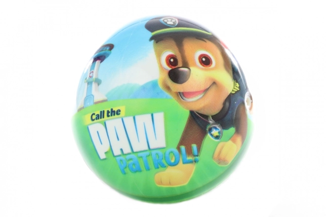 Paw Patrol Ball