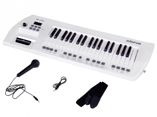 Electric Piano With Microphone Toy Instrument for Kids