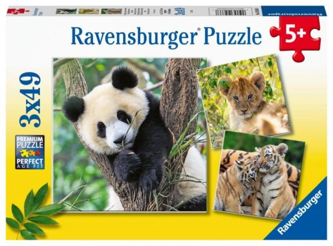 Panda, Tiger and Lion Puzzle by Ravensburger