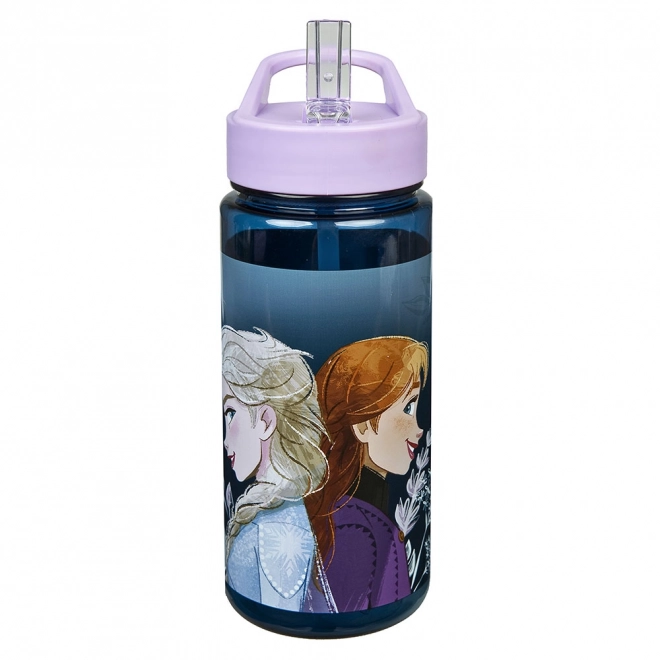 Frozen Drinking Bottle 500ml