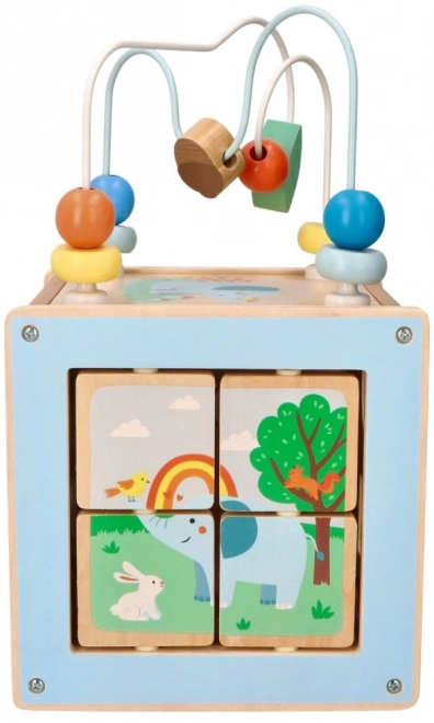 Activity Cube with Motor Loop