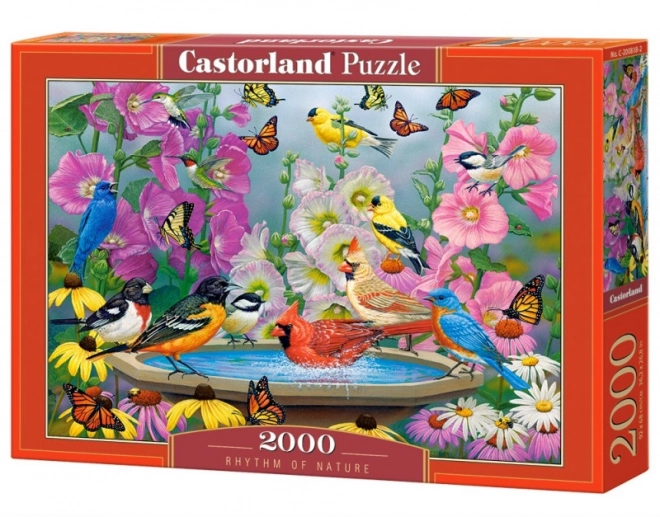 Rhythm of Nature 2000 Piece Puzzle