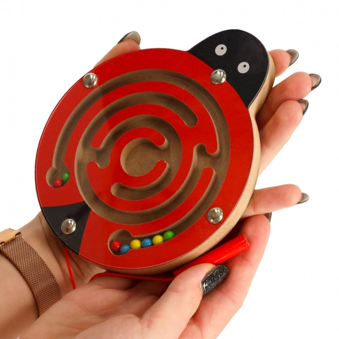 Magnetic Ladybug Maze