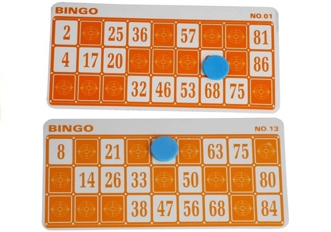 Educational Bingo Lotto Game with Lottery Machine