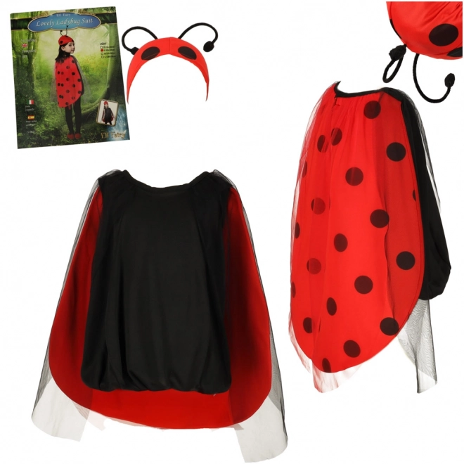Children's Ladybug Costume