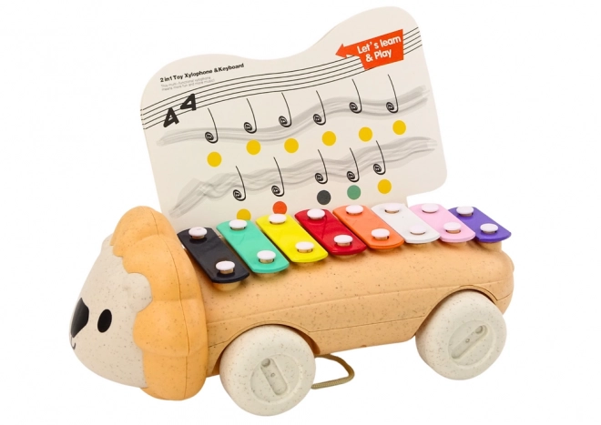 Colorful Lion Pull Along Xylophone Toy for Kids