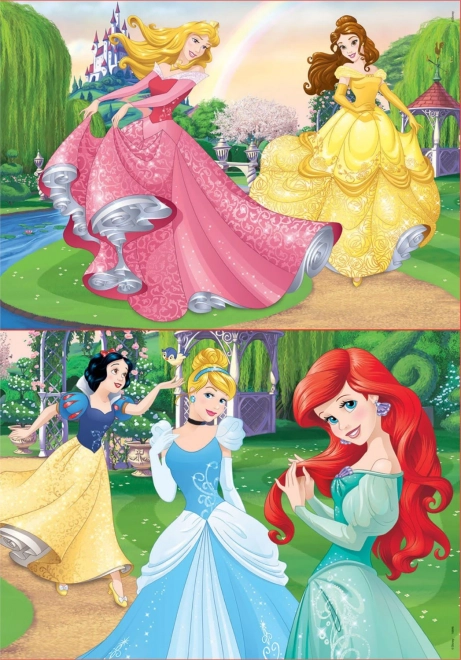 Disney Princess 2x20 Piece Puzzle Set