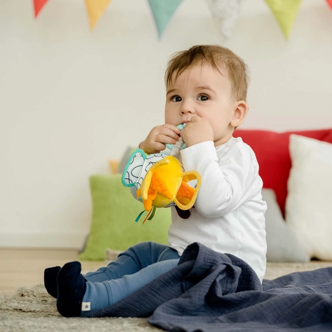 Colorful Sensory Ball Rattle