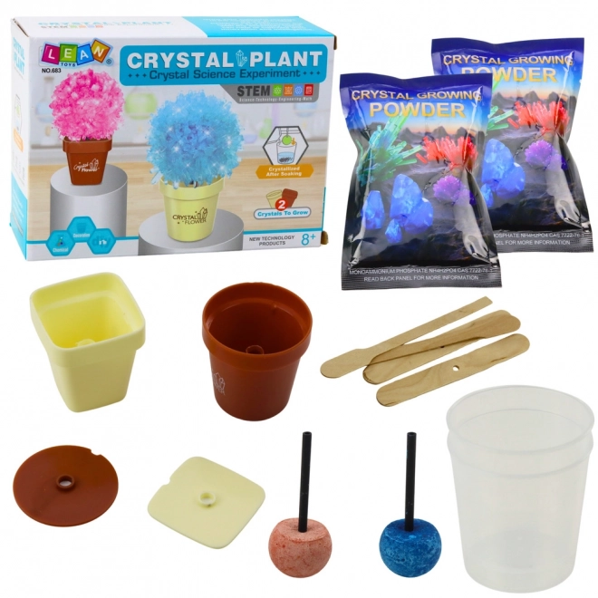 Educational Set Magic Crystal Tree