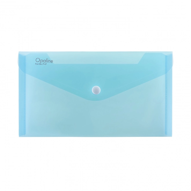 Mint Opaline Document Envelope