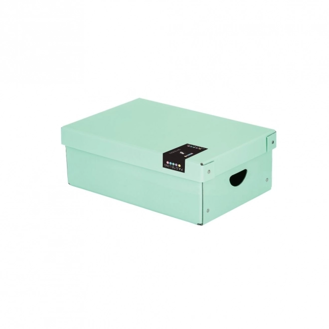 Small Green Pastelini Box