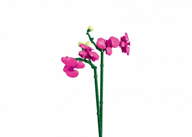 Sluban Orchid in Vase Building Set