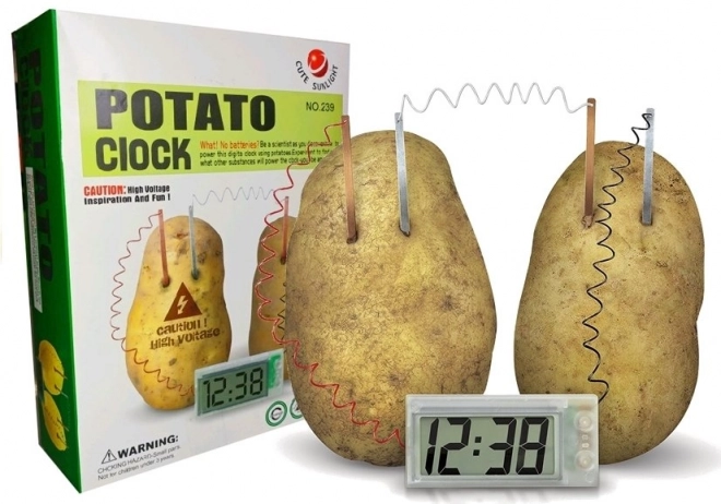 Creative Science Experiment Eco Clock from Potato