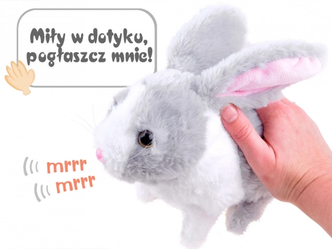 Interactive Bunny Toy with Carrot – gray