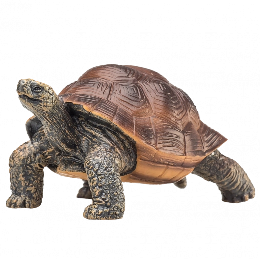 Remek játékhoz és gyűjteménybe is