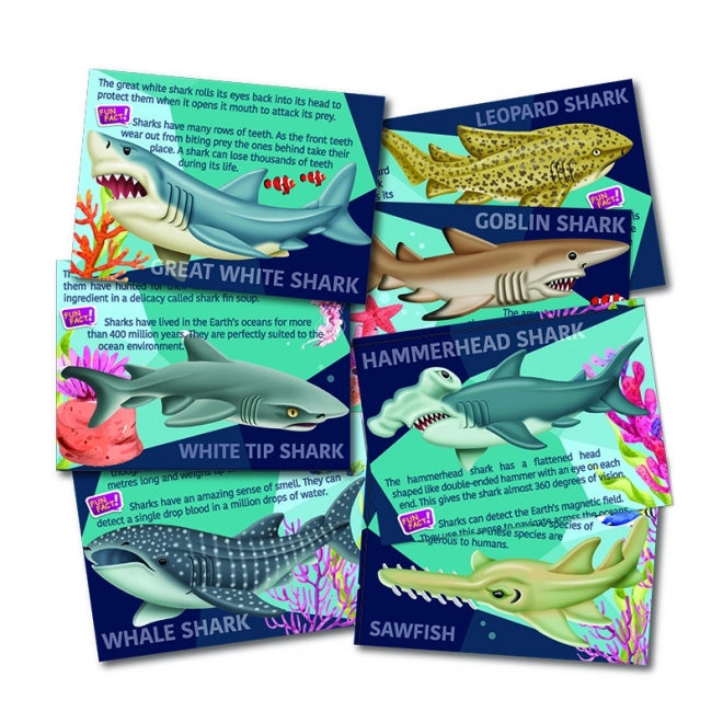 Creative Shark Painting Kit for Kids