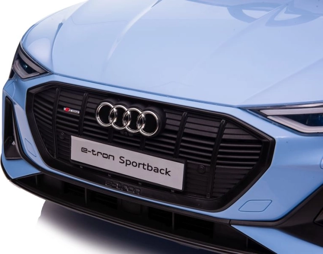 Realistic AUDI e-tron look