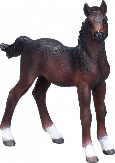 Mojo Hanoverian Foal Brown