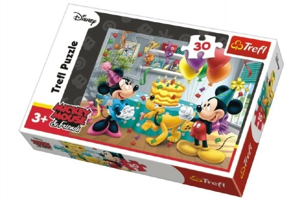 Mickey Mouse Celebration Puzzle