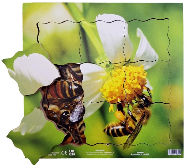 Bee Lifecycle Wooden Layered Puzzle