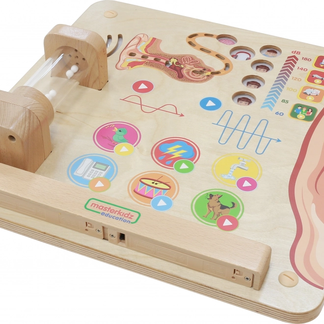 Masterkidz Tavola Educativa Sensi Visivi Montessori