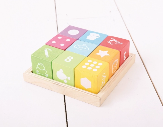 Bigjigs Baby Wooden Picture Blocks