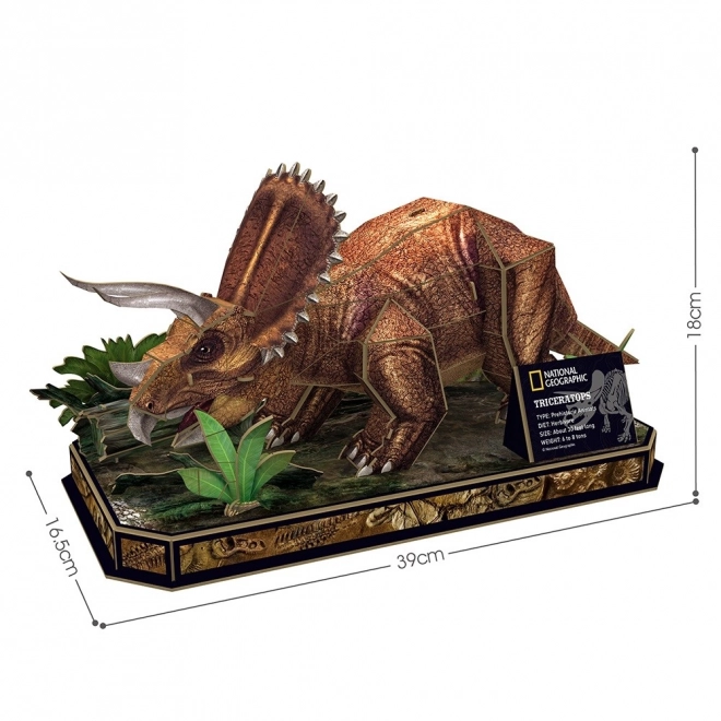 3D Puzzle National Geographic Triceratops