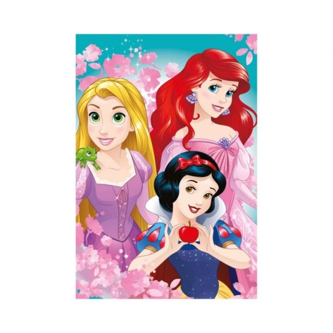 Beautiful Princesses 24-piece Puzzle