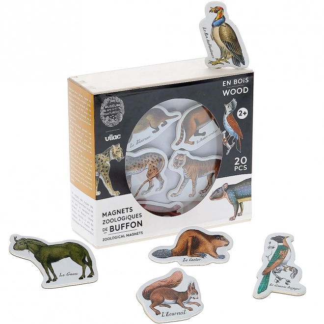 Zoo Animal Magnets Vilac