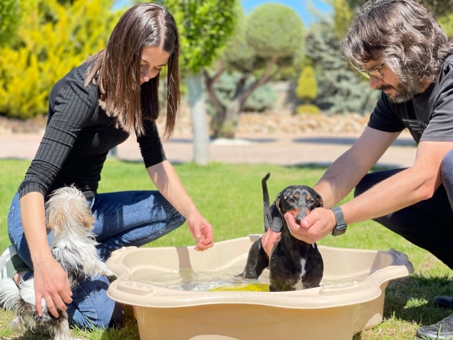 Pet Bathing Pool Classic