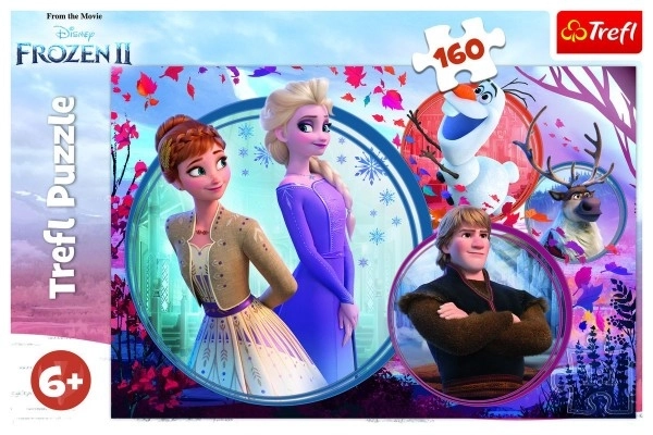 Frozen 2 Sisters Adventure Puzzle