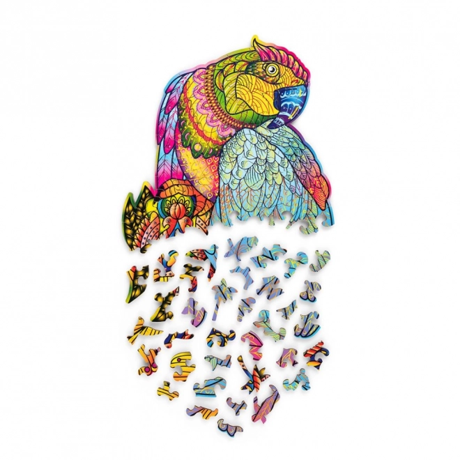 Colorful Wooden Parrot Puzzle