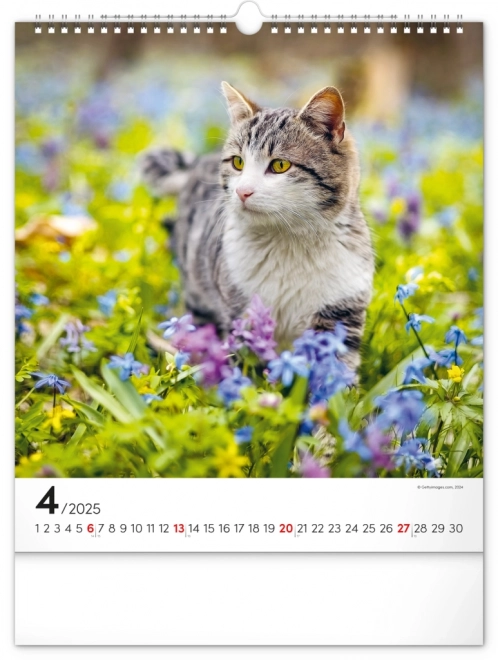 Wall Calendar Cats 2025