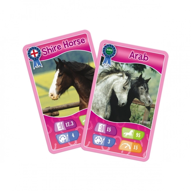 Card Game Horses and Unicorns